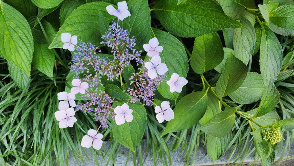 한국미바회 부산지부_사진_20240628_1.jpg