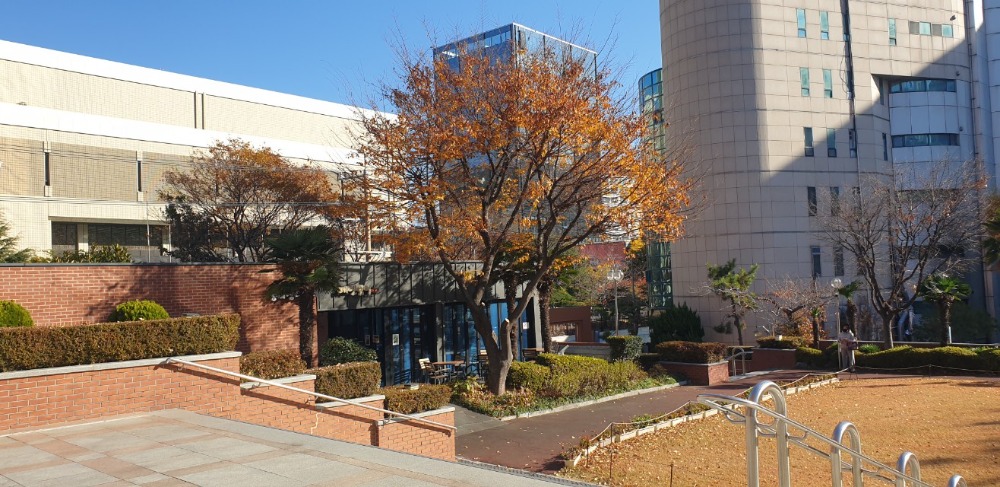 한국미바회 부산지부_사진_20251202_1.jpg