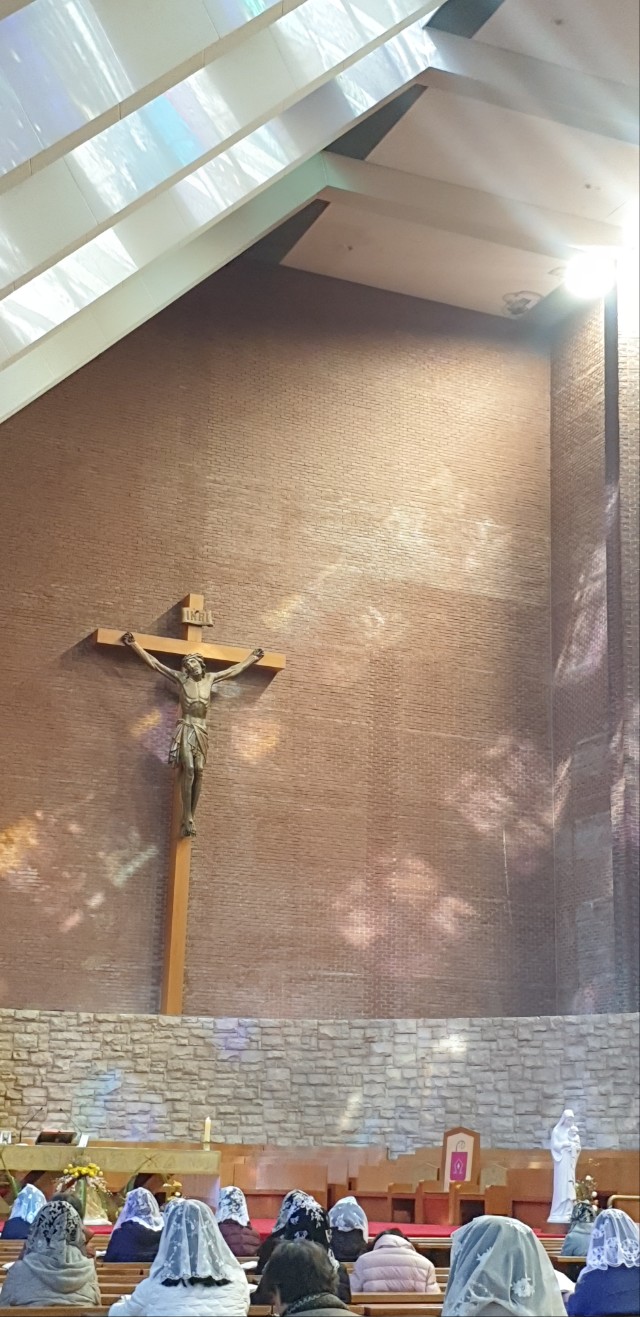 한국미바회 부산지부_사진_20251202_5.jpg