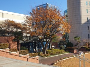 한국미바회 부산지부_사진_20251202_1.jpg