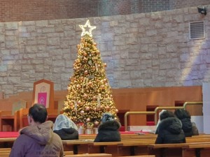 한국미바회 부산지부_사진_20251228_1.jpg